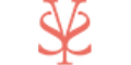 SHE·SAID·YES cashback